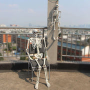 Realistic Skeleton Model for Halloween Decoration