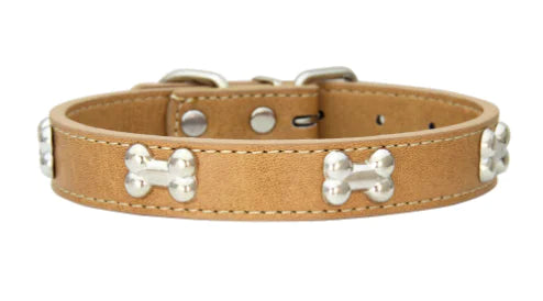 Halloween Bone Pet Collar with PU Leather Leash (One)